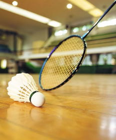 如何選購適合自己的羽毛球拍 10招教你輕松搞定