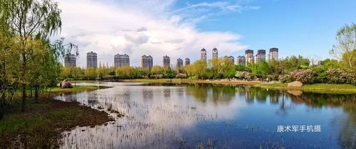 丁香園里的多彩風(fēng)光——康術(shù)軍手機(jī)隨拍作品選